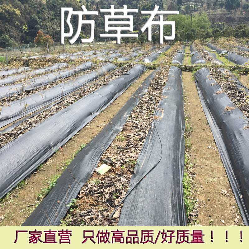 全新园艺地布防草布除草布黑色果园防草布花卉园艺地布走量