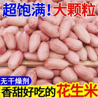 新鮮花生米特大顆粒生新貨