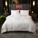 轻奢花边蚕丝春秋被子保暖冬被亲肤夏被双人婚假单人宿舍四季被芯