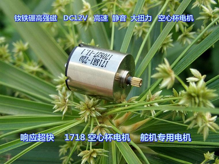 精品静音钕铁硼高强磁迷你舵机马达12V1718空心杯电机高速大扭力