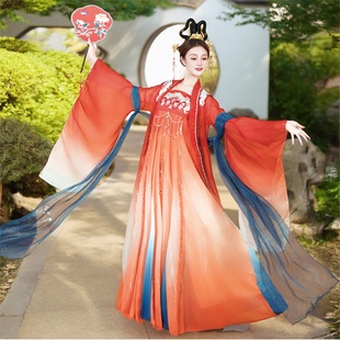 大唐夜宴夏辉舞蹈服中国风汉唐古典舞身韵女演出服飘逸双面燕洵新