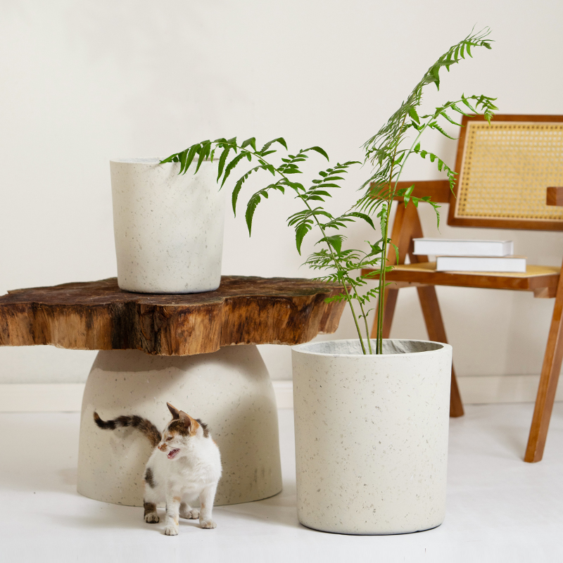 环保镁泥水泥花盆透气加固简约