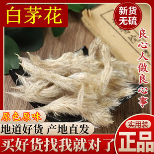 野生白茅花精选河北正品白茅根草花白毛花茅针花茅草花泡茶水包邮