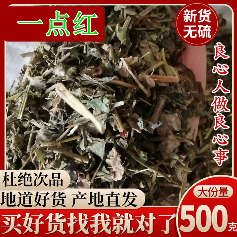 一点红中草药500克新鲜晒干图片