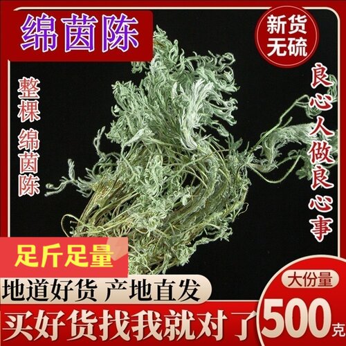 茵陈中药材白篙新鲜整棵干货野生