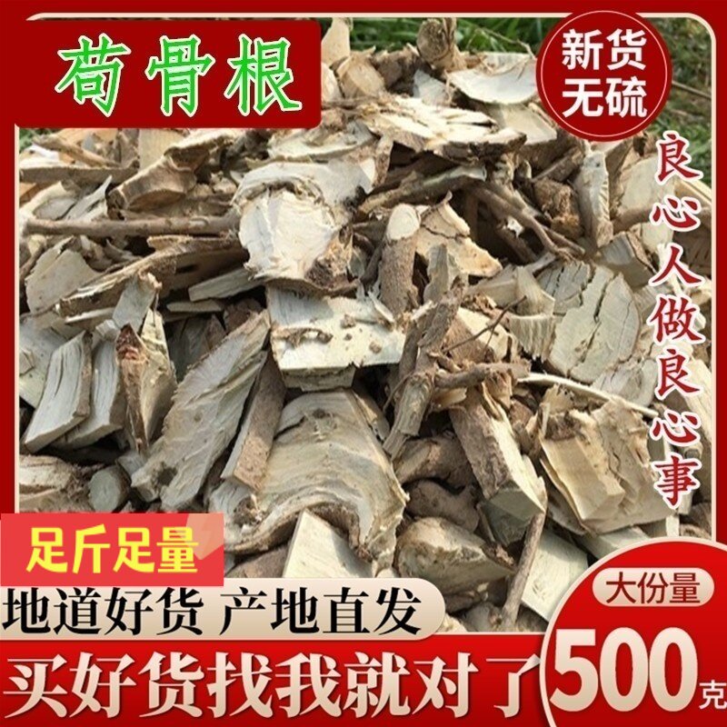枸骨根 功劳根 猫儿刺树 老虎刺根 八角刺树鸟不宿树狗中药材