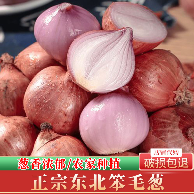 东北特产毛葱自种正宗笨毛葱小毛葱蘸酱毛葱大毛葱头新鲜珠葱包邮,水产肉类/新鲜蔬果/熟食,葱类,淘宝优惠券,粉丝福利购,淘宝优惠卷