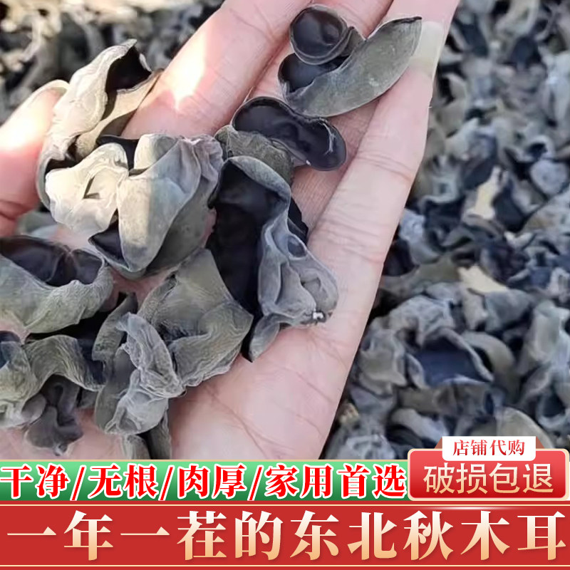 伊春木耳干货新货黑木耳东北特产批发碗耳秋木耳散装正宗肉厚包邮