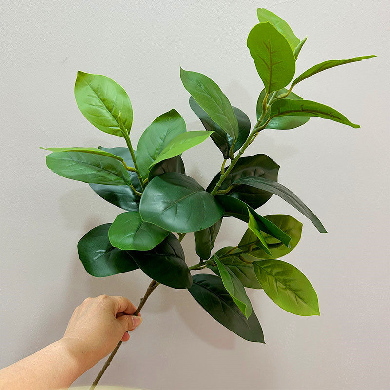 柚子叶仿真假叶子桔子叶室内客厅插花摆件绿植装饰菠萝蜜玉兰叶,鲜花速递/花卉仿真/绿植园艺,仿真绿植,淘宝优惠券,粉丝福利购,淘宝优惠卷