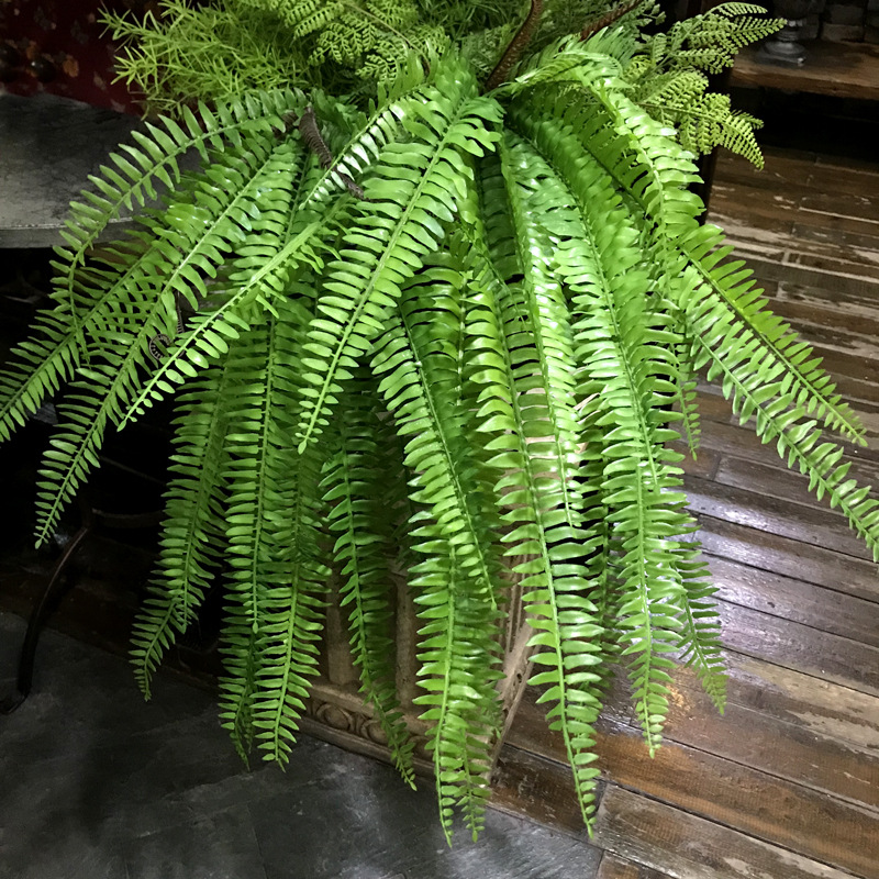 仿真波斯草室内植物墙软装配材蕨叶肾蕨餐厅花槽插花造景蕨类