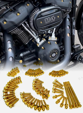 哈雷公路滑翔发动机螺丝装饰PB风格 路威ST街霸金色不锈钢螺丝