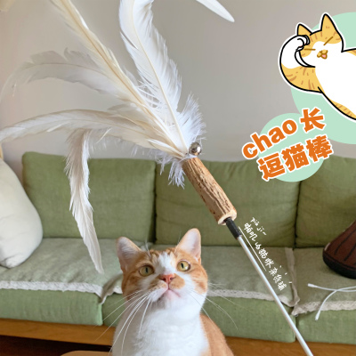 超长一体木天蓼羽毛替换头逗猫棒