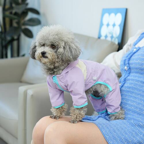 宠物春夏彩色四脚衣防泼水小型犬冲锋衣比熊泰迪户外洋气防尘防脏