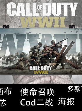 使命召唤14二战海报Cod14海报周边画报壁纸COD布质画芯装饰画现货