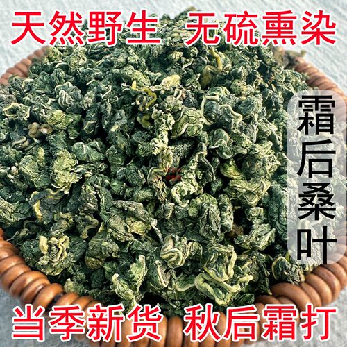 干净新货霜后桑叶泡水喝