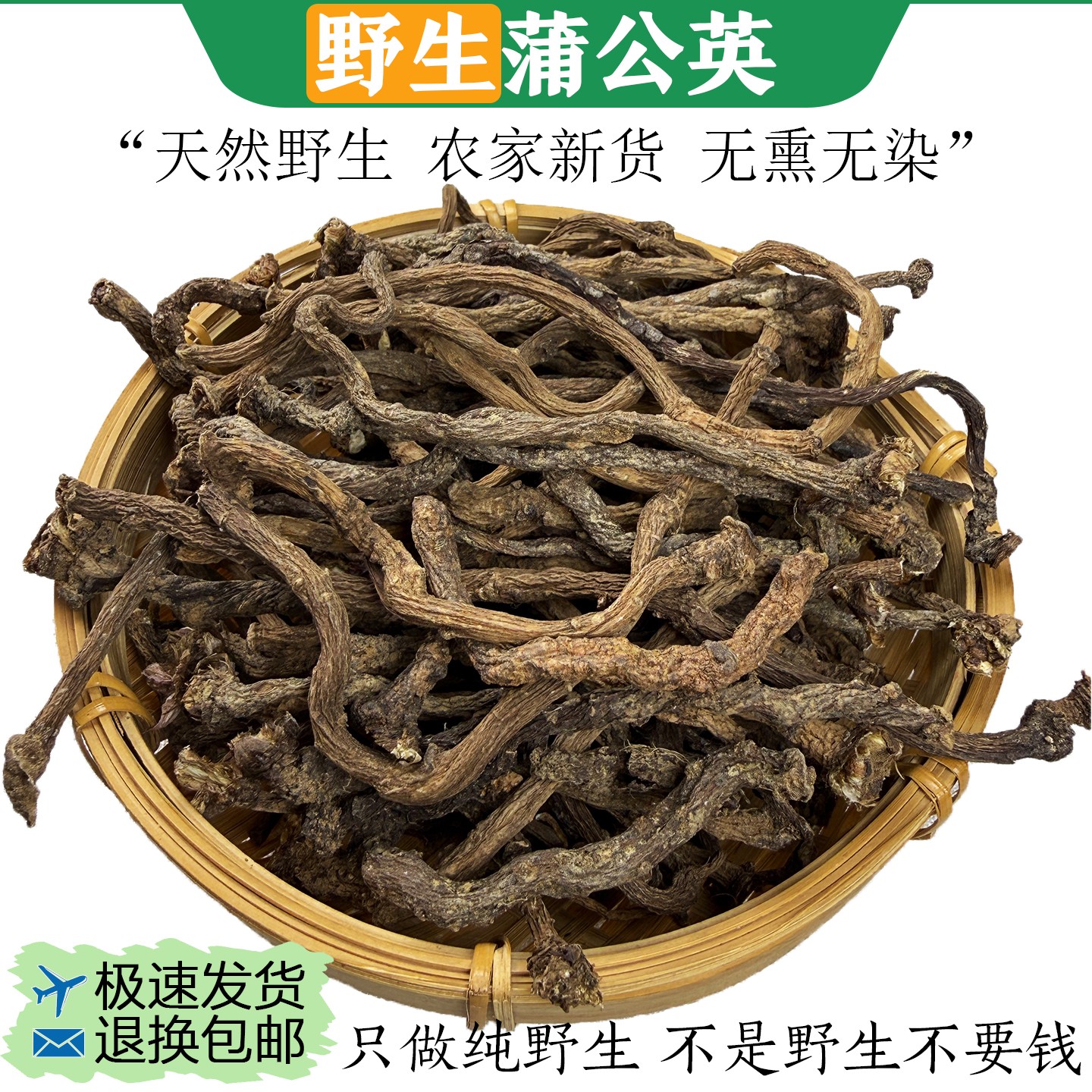 26年新货野生蒲公英根干货婆婆丁根精选晒干蒲公英根茶泡水