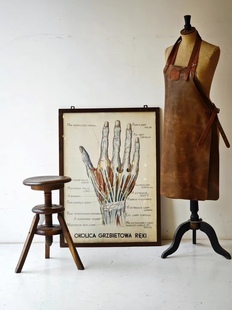 ：高100 饰画 宽73.5 室内装 北京现货｜法国60年代手绘教学图