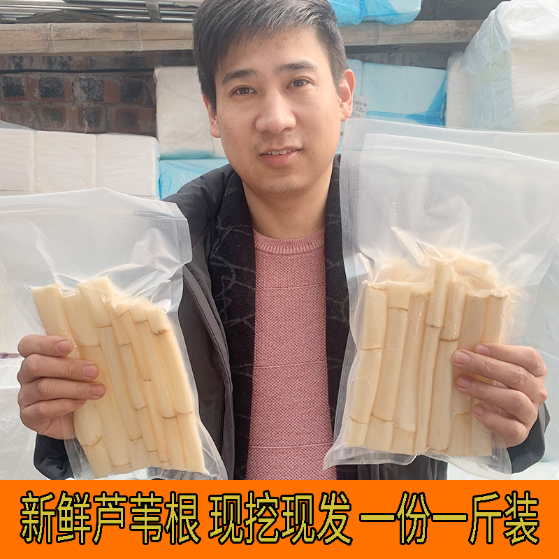 微山湖新鲜芦苇根鲜芦根柴根