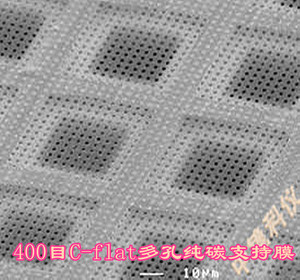 。中镜科仪25枚装400目C-flat多孔纯碳支持膜 美国进口