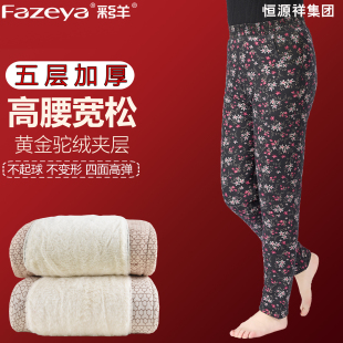 外穿 高腰棉裤 Fazeya彩羊恒源祥集团中老年驼绒保暖裤 厚宽松打底裤