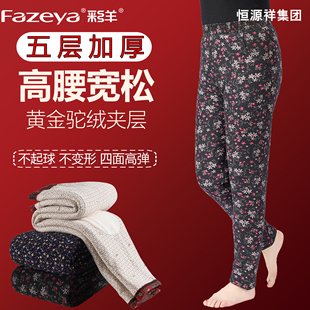厚 保暖裤 Fazeya彩羊恒源祥集团妈妈内穿驼绒棉裤 女中老年高腰大码