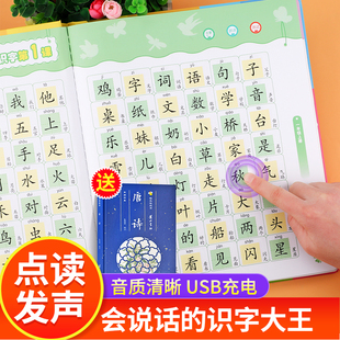 幼儿启蒙认字带拼音小学生一二三四年级生字表趣味学汉字usb充电版 儿童识字书籍手指点读发声书早教 识字大王2580字 会说话
