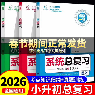 小升初系统复习人教版必刷题