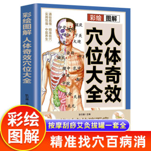 彩绘图解 江西科学技术出版 人体奇效穴位大全 常见病对症穴位疗法零基础中医入门书籍 社 经络穴位按摩大全书