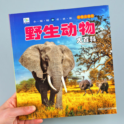 野生动物大百科彩图注音版 动物世界儿童科普小百科全书幼少儿早教启蒙绘本科学认知非dk3-6-10岁小学生一二三年级课外阅读书籍YJ