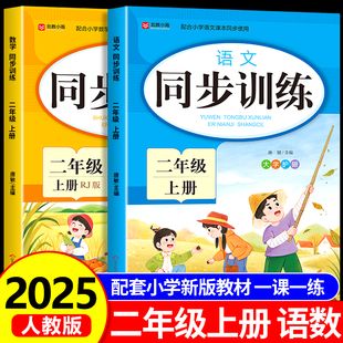 2025新版 一课一练教材书小学同步练习册每日一练RJ 二年级上册同步练习小学生语文数学同步训练全套人教版
