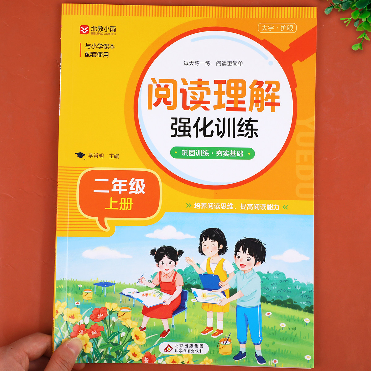 二年级上册阅读理解强化训练人教版 小学生2年级上学期课内课外阅读理解专项训练书 语文练习题练习册必读课外书二上部编版RJ