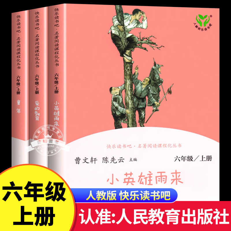 人教版快乐读书吧六年级上册必读的课外书全套3册小英雄雨来爱的教育童年高尔基原著完整版人民教育出版社6上小学生课外阅读书籍