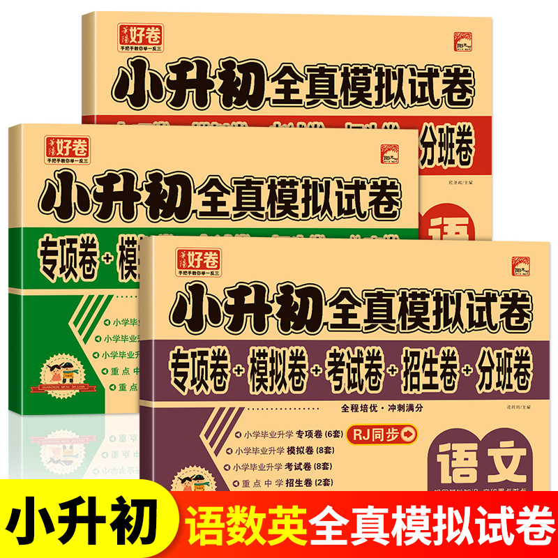 小升初真题卷必刷题语文数学英语全套人教版 六年级下册试卷测试卷专项训练毕业总复习资料期末模拟卷子RJ