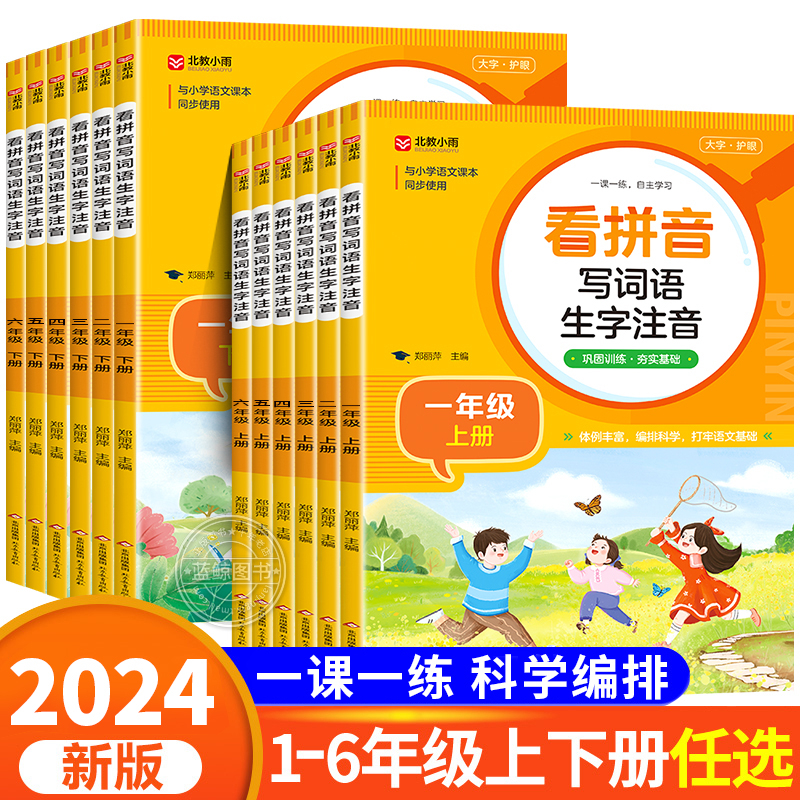 小学生看拼音写词语生字注音一二三四五六年级上册下册人教版部编同步课本语文练习册专项训练 默写能手字词句训练RJ