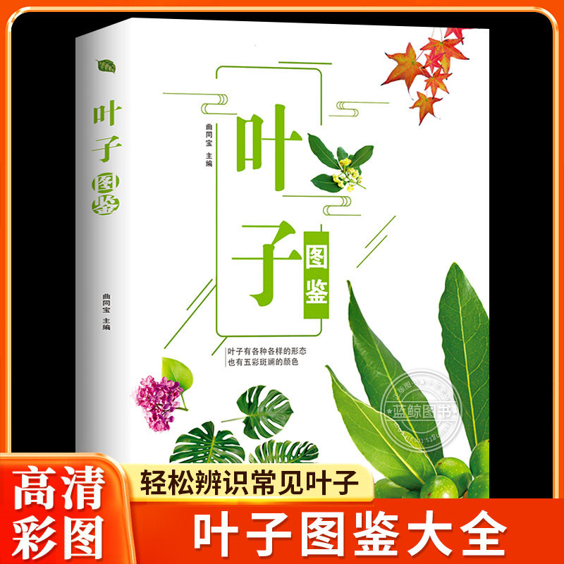 【官方正版】叶子图鉴深入了解轻松辨别解决新手入门难题家庭养花园艺室内植物养花实用宝典养花书籍家庭室内养花大全图书书籍
