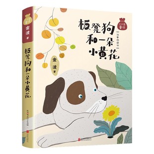 小口袋童话注音桥梁书 北京联合出版 金波 公司 一年级二年级小学生课外阅读书籍 著 12岁儿童文学读物正版 板凳狗和一朵小黄花