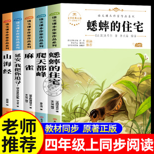 小學語文課本作家作品系列老師推薦 蟋蟀 課外書爬天都峰麻雀延安我把你追尋山海經人教版 經典 住宅四年級上冊必讀 課外閱讀書目