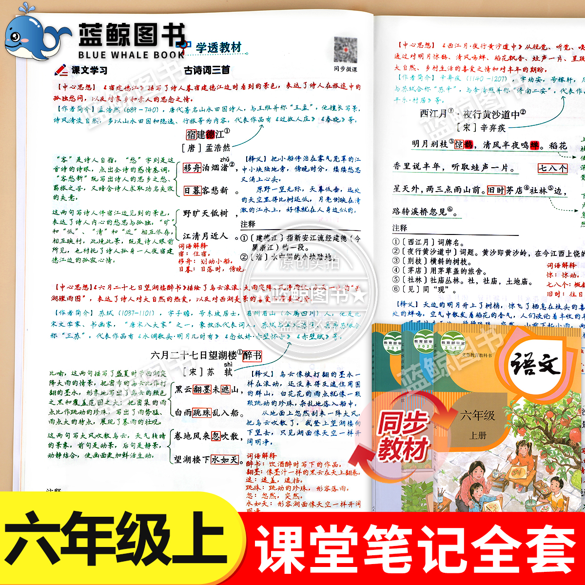 2024新六年级上册课堂笔记语文数学英语全套人教版 同步教材课本讲解小学生6年级上学期教科书语数英黄冈学霸知识手册随堂预习教辅