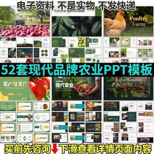 现代农业ppt模板产品介绍手册营销宣传推广蔬果生鲜健康食品