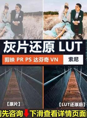 索尼灰片还原LUT预设HLGslog2slog3视频图片709剪映PR通用log