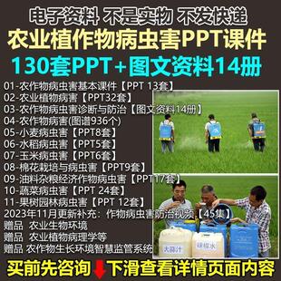农业植作物病虫害PPT课件大全诊断绿色控栽培管理技术视频