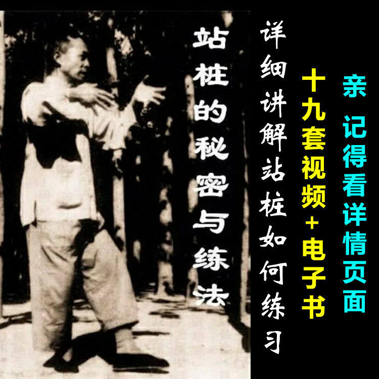 站桩的秘密与练法 太极桩功科学站桩方法与练法3碟视频+配套文档,商务/设计服务,设计素材/源文件,淘宝优惠券,粉丝福利购,淘宝优惠卷