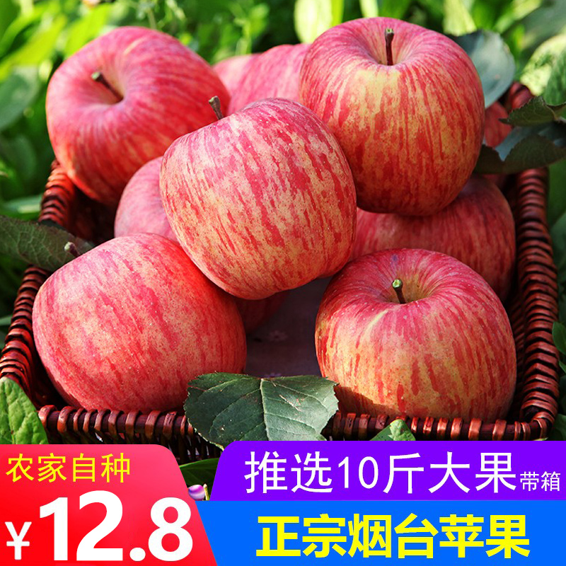 烟台苹果红富士10斤整箱脆甜正宗山东栖霞新鲜水果当季萍果包邮5在类目 水产肉类/新鲜蔬果/熟食, 新鲜水果, 苹果中 - 来自Buy2taobao.com提供专业的淘宝代购服务