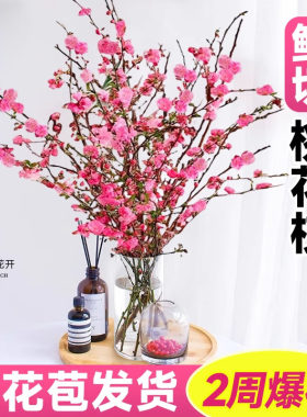 桃花枝水培干枝红梅鲜枝支鲜切花珍珠李鲜花水培植物腊梅水养花卉
