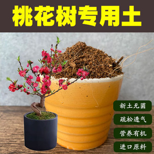 桃花树土盆栽酸性沙质红土壤桃花树盆景专用土绿植种植营养土肥料