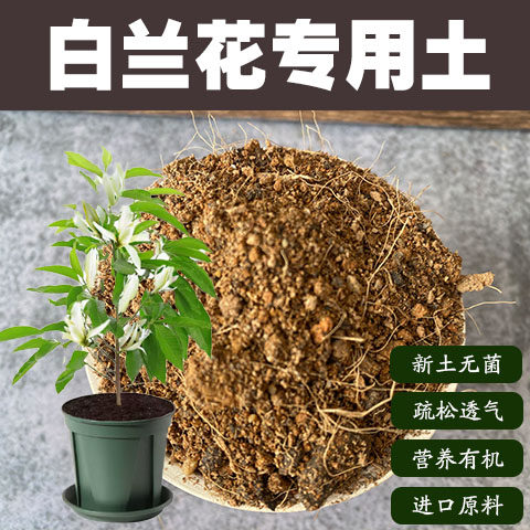 润土堂白兰花土沙质土盆栽营养土