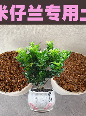 米仔兰土香水米兰花专用土