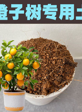 橙子树专用土橙子树土盆栽营养土