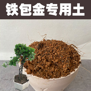 铁包金专用土盆景营养土室内绿植酸性沙质红土壤种植泥炭土有机肥