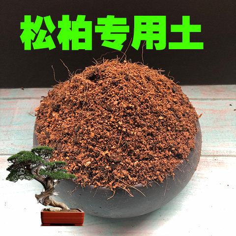 松柏专用土松柏土盆栽酸性沙质